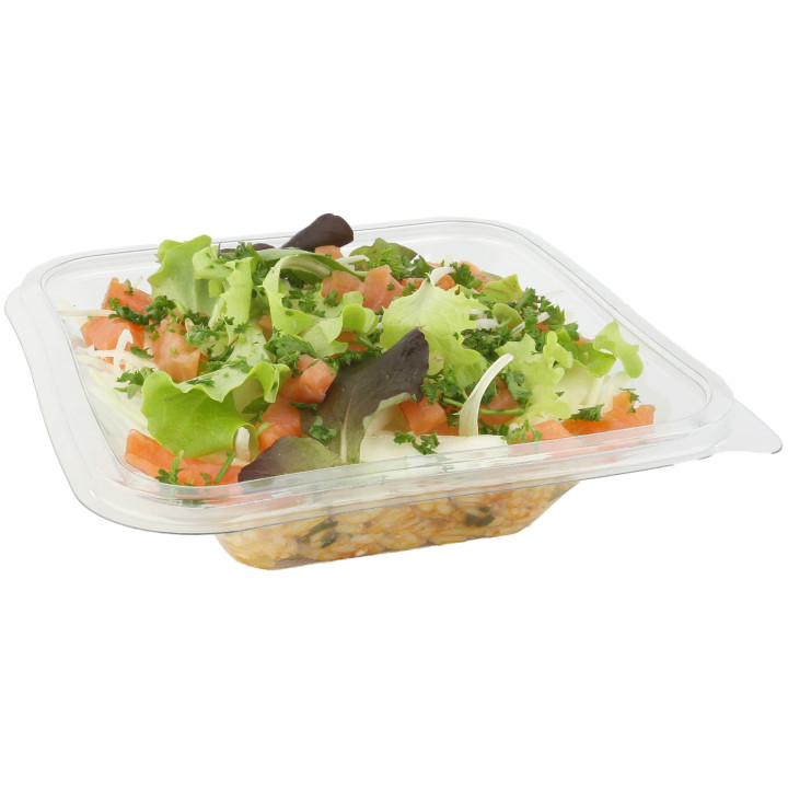 Plastic Bowl PET "Impression" 500ml 17x17x5cm (300 Units)