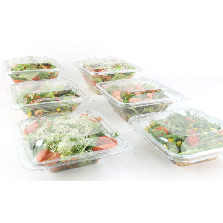Plastic Bowl PET "Impression" 750ml 17x17x6cm (50 Units) 