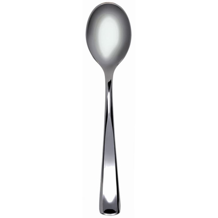 Plastic Spoon Metallized 17,5cm (50 Units) 