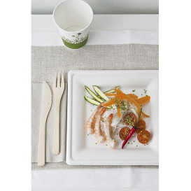 Sugarcane Plate Square shape White 26x26 cm (40 Units) 