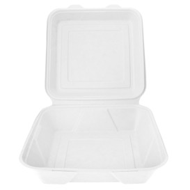 Sugarcane Hinged Container "Menu Box" 23,5x23,5x7,8cm (200 Units)