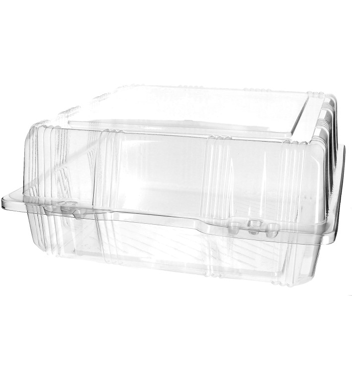 Plastic Hinged Bakery Container PET 22x22x10cm (220 Units)