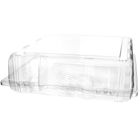 Plastic Hinged Bakery Container PET 25x25x8cm (20 Units) 
