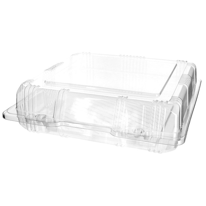 Plastic Hinged Bakery Container PET 20x20x6cm (220 Units)