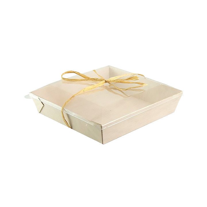 Plastic Lid PET Clear 17x17cm (25 Units) 