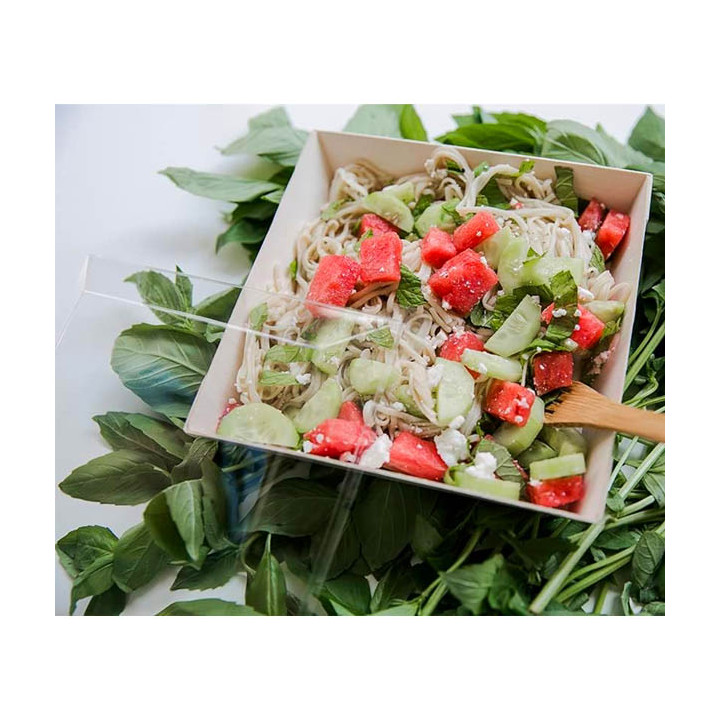 Plastic Lid PET Clear 17x17cm (25 Units) 