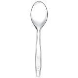 Plastic Spoon Premium PS Clear 19cm (50 Units) 