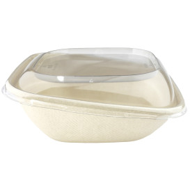 Plastic Lid PET for Container "Vision" 19x19cm (50 Units) 