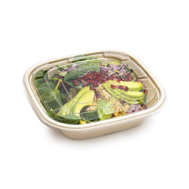 Sugarcane Bowl Natural Square Shape 2250ml 27cm (25 Units)