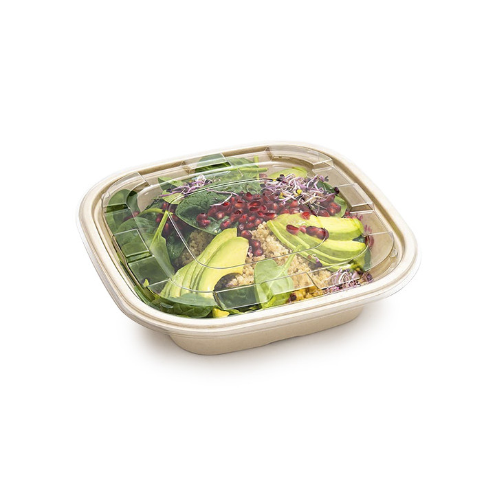 Sugarcane Bowl Natural Square Shape 2250ml 27cm (25 Units)