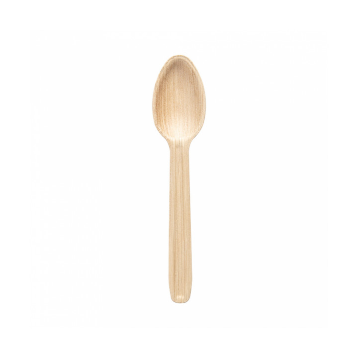 Palm Leaf Tasting Mini Spoon 17 cm (25 Units) 