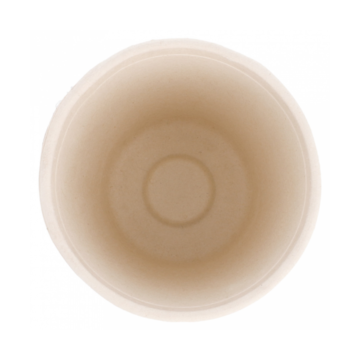 Sugarcane Cup Natural 260ml (1000 Units)