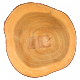 Wooden Serving Platter Round shape Ø23x3,5cm (1 Unit) 