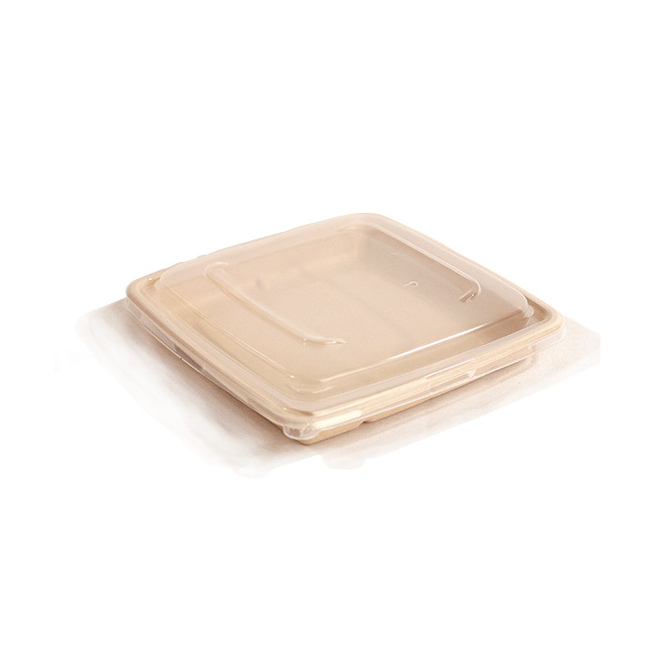 Plastic Lid PP for Container 23cm (25 Units) 