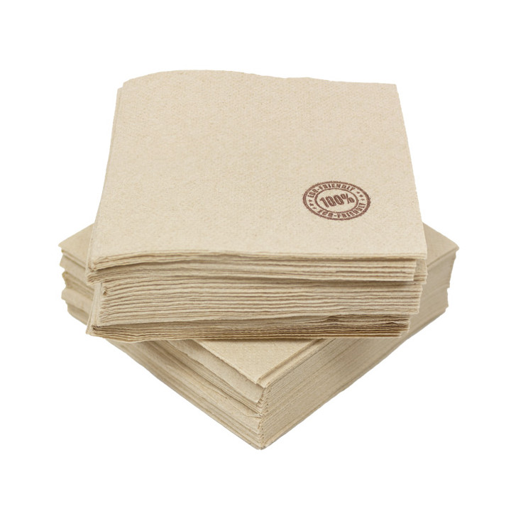 Paper Napkin Eco "Recycled" 33x33cm 2C P-P (50 Units)