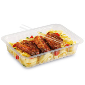 Plastic Container Heat Sealable Translucent 1015ml 19,2x13,7x5,5cm (900 Units)