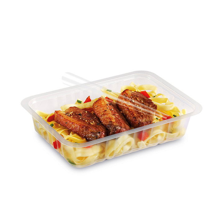 Plastic Container Heat Sealable Translucent 1015ml 19,2x13,7x5,5cm (900 Units)