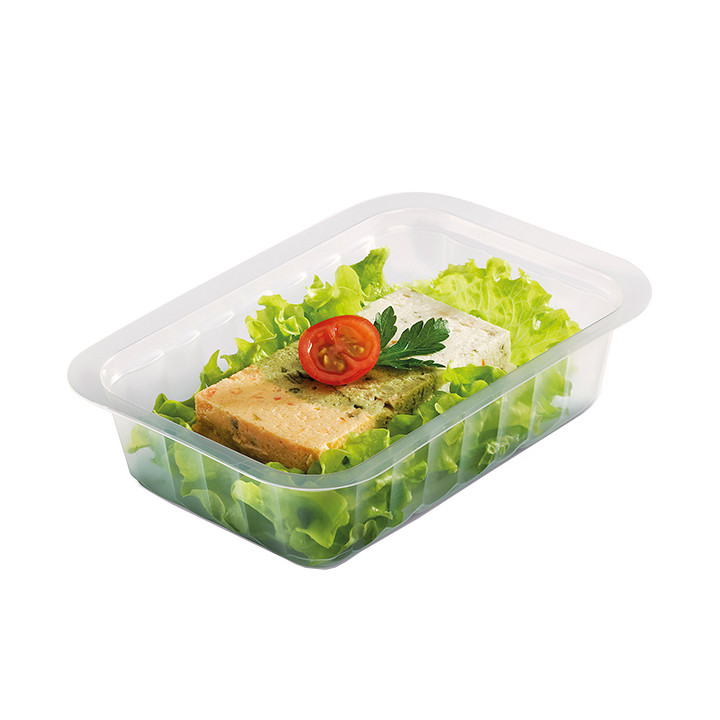 Plastic Container Heat Sealable Translucent 250ml 13,7x9,6x3,2cm (100 Units)  