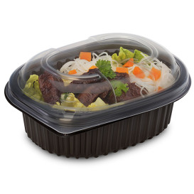 Plastic Container PP Rectangular Shape 350ml 14,2x11,1x4,5cm (80 Units)  