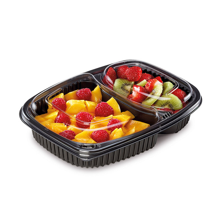 Plastic Container PP Rectangular Shape 2C 1050ml 25,5x18,9x4,5cm (40 Units) 
