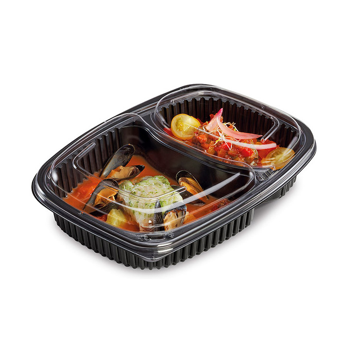 Plastic Container PP Rectangular Shape 2C 1250ml 25,5x18,9x4,5cm (320 Units)