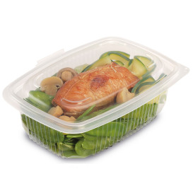 Plastic Container Microwave PP Transparente 600ml 18,5x13,5cm (300 Units)