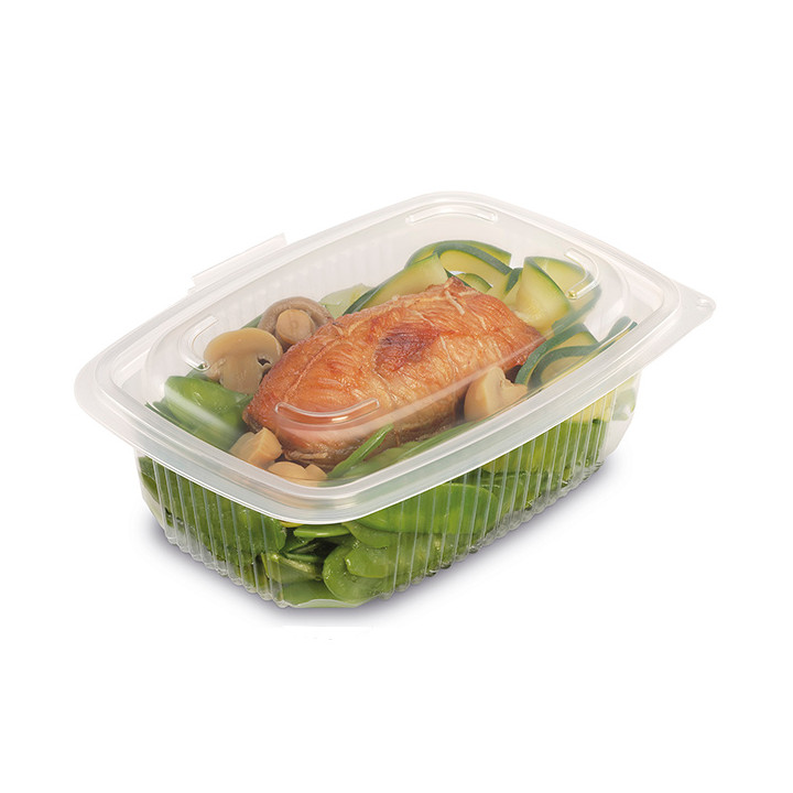 Plastic Container Microwave PP Transparente 600ml 18,5x13,5cm (300 Units)