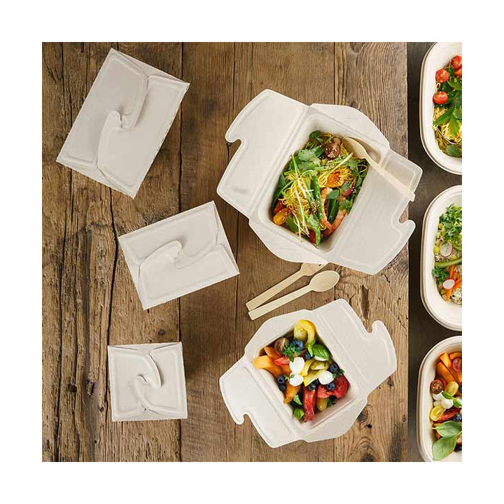 Package Sugarcane MenuBox 2C 21x15x5cm 800ml (75 Units)