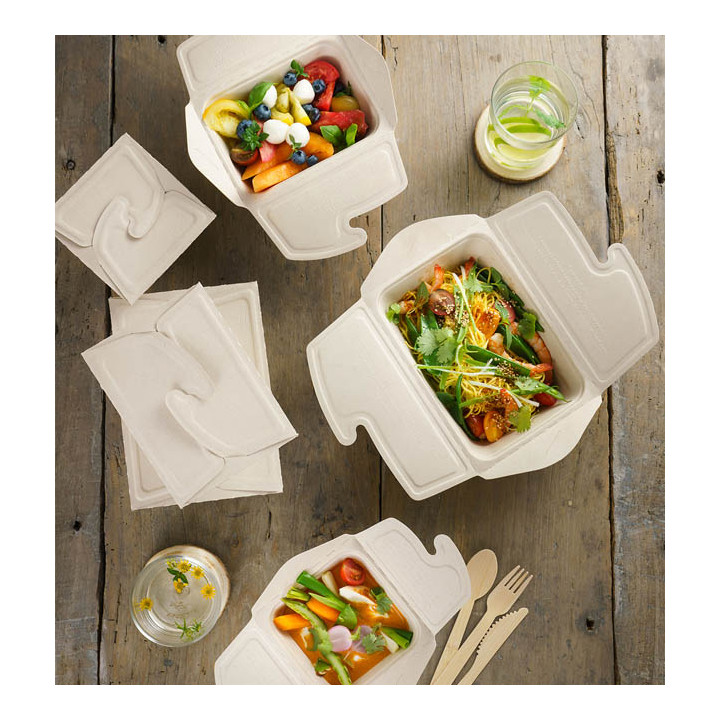 Package Sugarcane MenuBox 17x13x7cm 750ml. (200 Units)