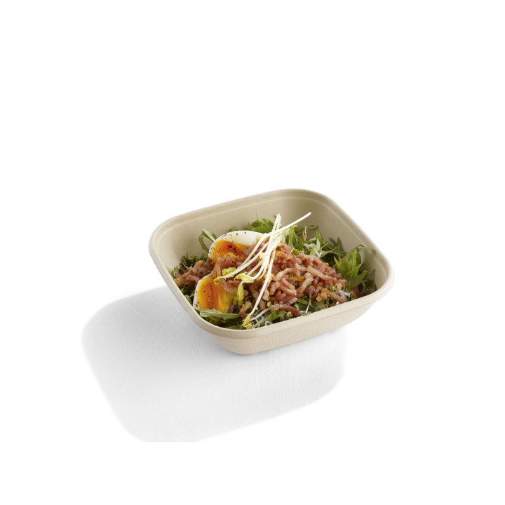 Sugarcane Bowl PLA 750ml 17x17x5cm (300 Units) 