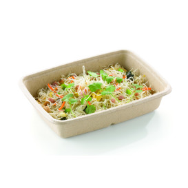 Sugarcane Container PLA 950ml 23x16,5x5cm (300 Units)  