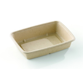 Sugarcane Container PLA 950ml 23x16,5x5cm (300 Units)  