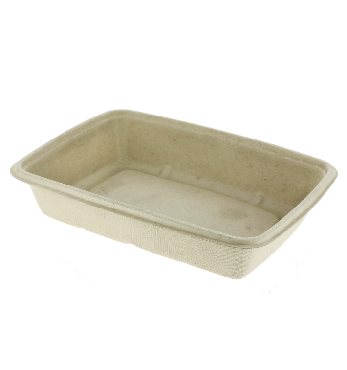 Sugarcane Container PLA 950ml 23x16,5x5cm (300 Units)  