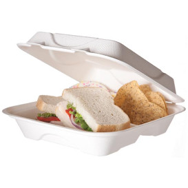 Sugarcane Hinged Container White 3C 23x15x7,5cm (50 Units)