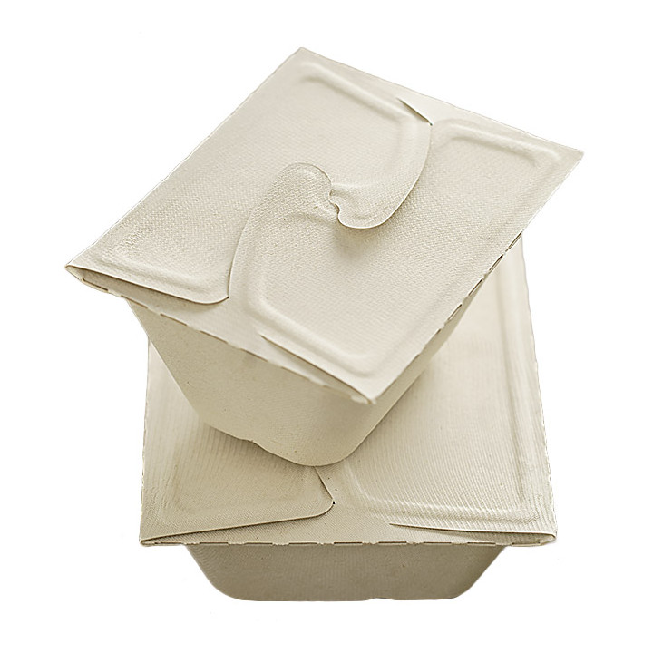 Package Sugarcane MenuBox 2C 21x15x5cm 800ml. (200 Units)