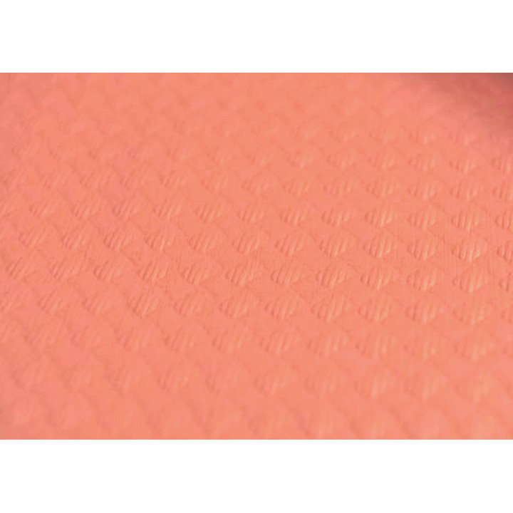 Pre-Cut Paper Tablecloth Salm (400 Units) on 40g 1x1m (400 Units)  