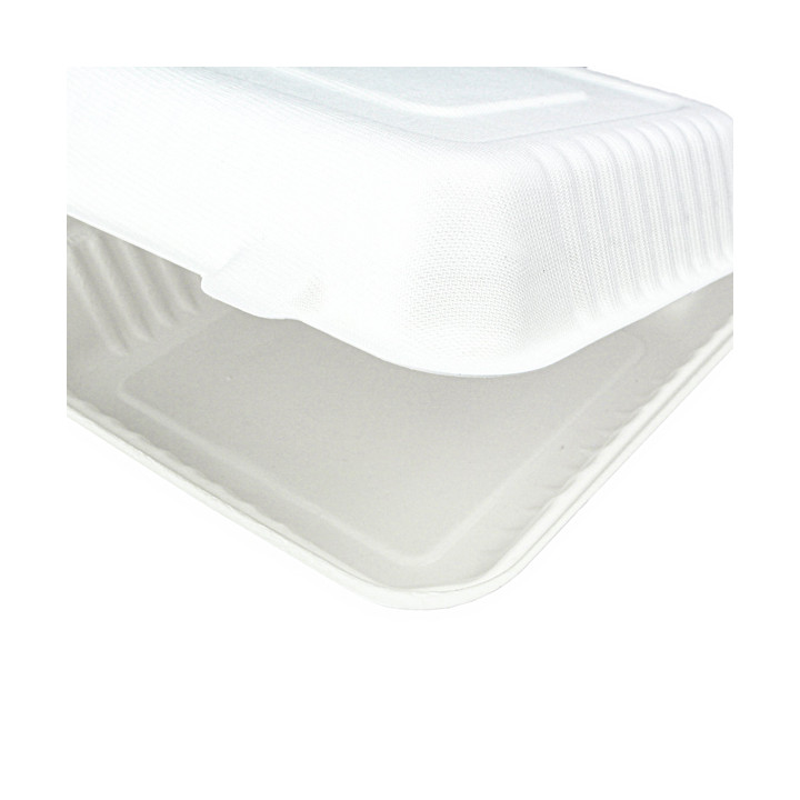 Sugarcane Hinged Container + PLA White 23x23x7,5cm (50 Units)