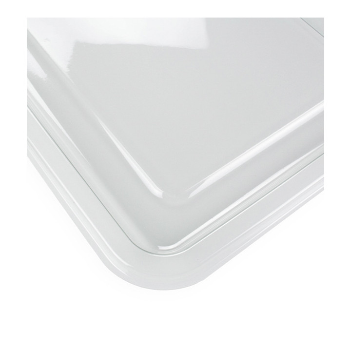 Plastic Tray RPET Transparent 46x30cm (50 Units) 