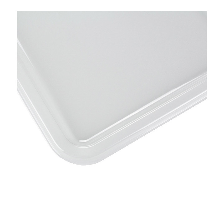 Plastic Tray RPET Transparent 35x24cm (10 Units) 