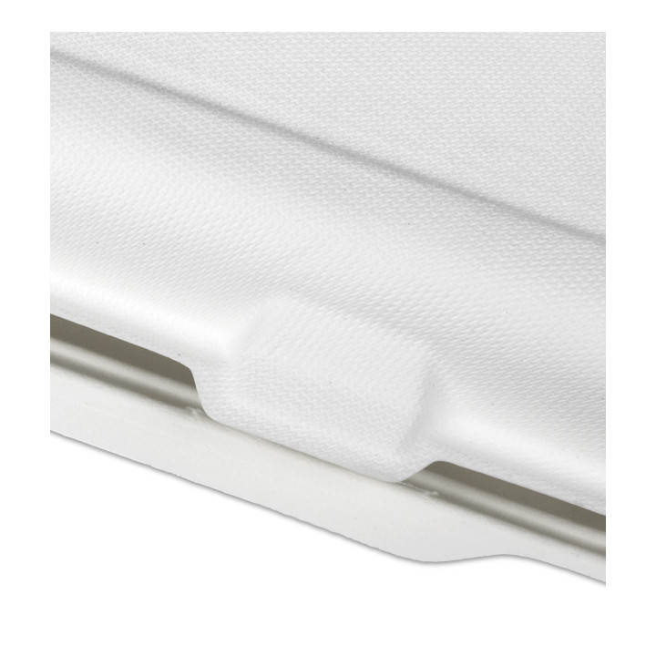 Sugarcane Panini Container 3C 38x48,3x6,15cm (100 Units) 