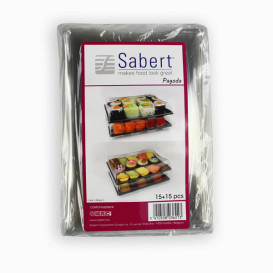 Plastic Tray with Lid Black 16x22cm (120 Uds)