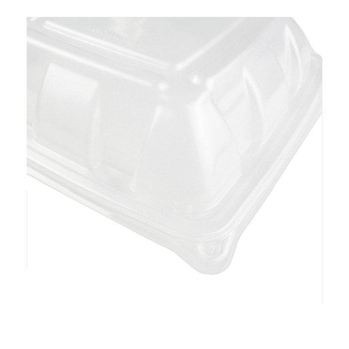 Plastic Dome Lid PP for Container 23x23cm (50 Units) 