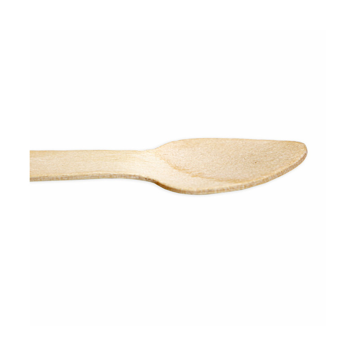Wooden Varnished Teaspoon 9,6cm (250 pcs)