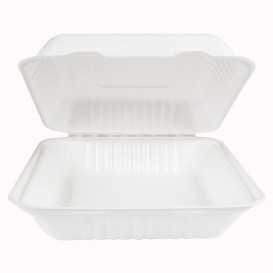 Sugarcane Hinged Container + PLA White 23x23x7,5cm (50 Units)