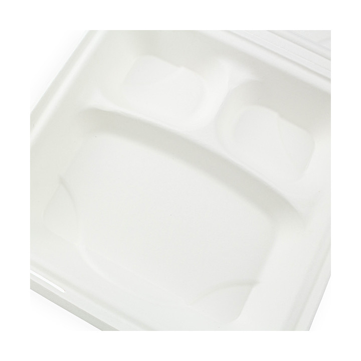 Sugarcane Hinged Container White 3C 23x15x7,5cm (50 Units)