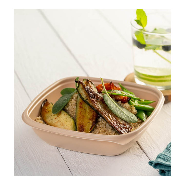 Plastic Deli Container PP Cream 500ml 16,5x16,5x4cm (300 Units)