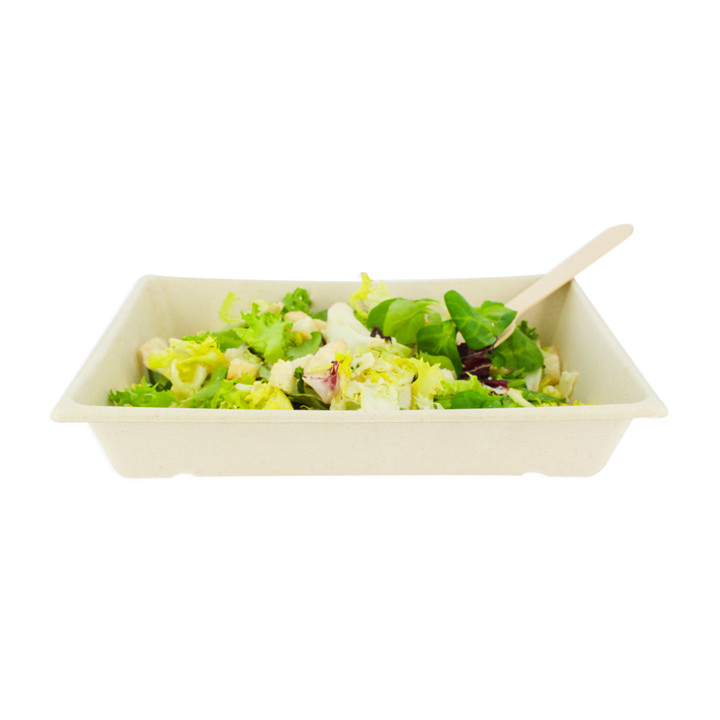 Sugarcane Tray 750ml 22x16x4cm (50 Units) 