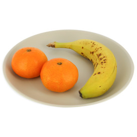 Reusable Plate Premium PP Mineral Grey Ø21cm (54 Units)