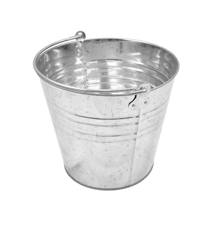 Rectangular PP Bucket with Wringer Blue 14L (1 Unit)