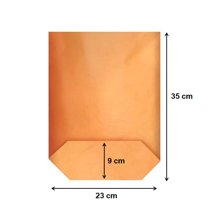 Paper Bag with Hexagonal Base Kraft 23x35cm (50 Units)